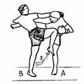 Long-range knee-kick (coup semi-circulaire)