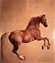 Whistlejacket