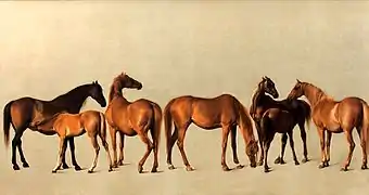 Juments et poulains (Mares and foals), George Stubbs, 1762.