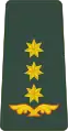 პოლკოვნიკიP’olk’ovnik’i(Georgian Land Forces)