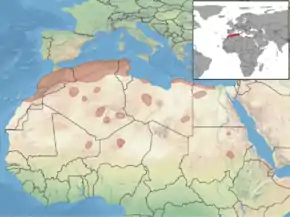 Description de l'image Gerbillus campestris distribution.png.