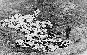 Exécution d'enfants et femmes juifs dénudés dans une fosse par un einsatzgruppe à Zdołbunów (Pologne), aujourd'hui Zdolbouniv (Ukraine), 14 octobre 1942