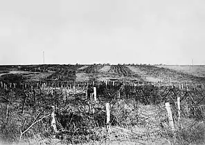 Photographie en noir et blanc de fils barbelés avec une plaine en arrière-plan