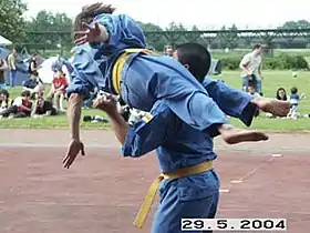 Les ciseaux volants du Vovinam Viet vo dao.