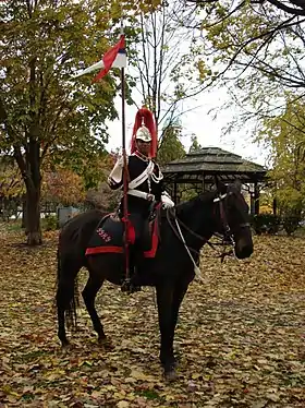 Image illustrative de l’article The Governor General's Horse Guards
