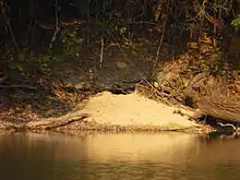 Photo d'une berge avec du sable fraichement gratté.