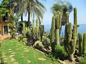 Jardin exotique