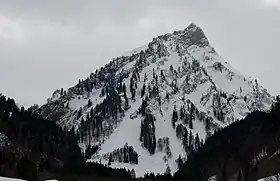 Vue depuis la vallée de Hinterstein