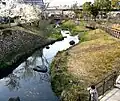 Cerisiers en fleurs le long de la rivière Shimizu au sud de la gare JR de Gifu.
