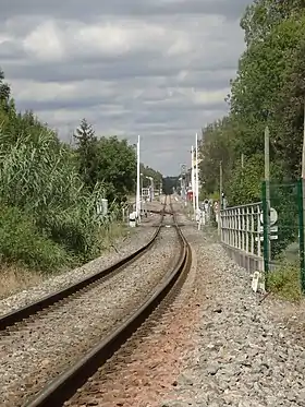 hotographie en couleur d'une ligne de chemin de fer.