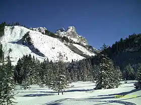 Le Gimpel (à gauche) et le Rote Flüh (à droite) depuis la vallée de Tannheim.