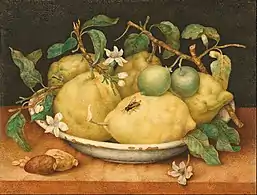 Giovanna Garzoni, Nature morte aux citrons (fin des années 1640)