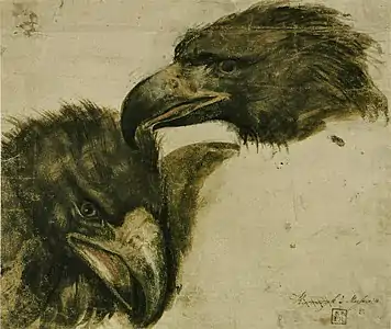 Deux Études de tête d'aigle, Palais des beaux-arts de Lille.