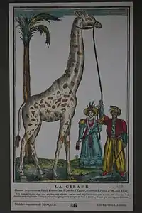 La Girafe donnée en présent au roi de France, par le pacha d'Égypte, et arrivée à Paris le 30 juin 1827, musée des Civilisations de l'Europe et de la Méditerranée.