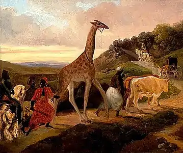 Le Passage de la girafe près d'Arnay-le-Duc, tableau de Jacques Raymond Brascassat (1827), actuellement au musée des Beaux-Arts de Beaune.