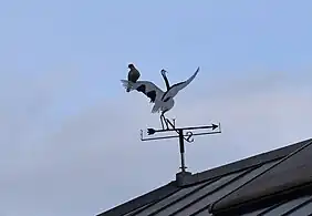 Girouette-cigogne sur laquelle est posée une tourterelle à Mauvezin (Hautes-Pyrénées)