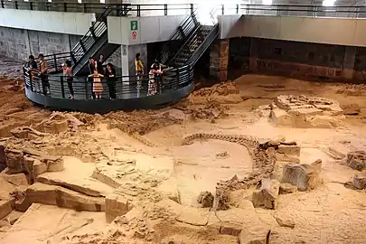 Gisement fossilifère présentant les fossiles in situ