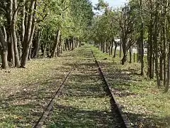 Végétation recouvrant la voie en direction de Gisors-Embranchement.