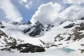 Le glacier Vinciguerra en Terre de Feu.