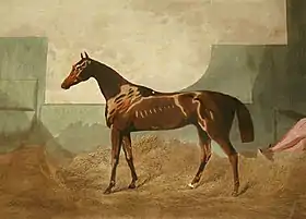 Peinture d'un cheval bai de profil dans son boxe; sa tête et son corps son fins et le dos est long.