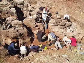 Image illustrative de l’article Grotte de Gladysvale