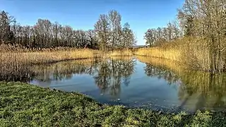 Un des étangs de Guigot.