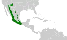 Carte de l'Amérique Centrale avec certaines zones coloriées en vert