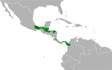 Carte de l'Amérique centrale avec certaines zones coloriées en vert