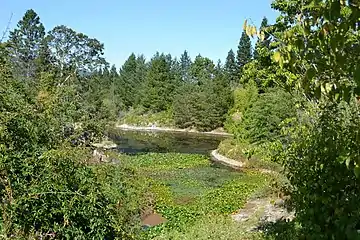 Vue du jardin botanique Quarryhill.