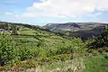 Glenariff, un des glens d'Antrim.