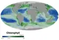 carte mondiale de concentration des océans en chlorophylle marine, en milligramme par mètre cube d'eau de mer (2019) ;