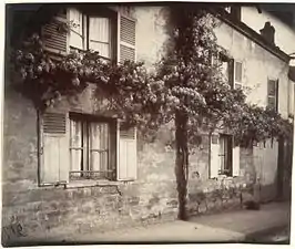 Glycine à Châtillon, 1919-1921par Eugène Atget