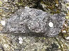 Gneiss du socle d'Ambin (massif du Mont-Cenis), avec une texture micacée proche du micaschiste.