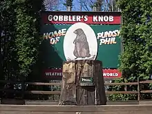 Photographie d'un tronc d'arbre portant une pancarte sur laquelle il est écrit Phil. En arrière-plan se trouve un panneau représentant une marmotte et intitulé Gobbler's Knob.