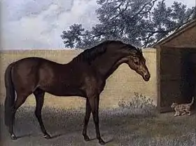 Peinture représentant un cheval bai dans la cour d'une ferme; son encolure est très longue et épaisse et sa tête très petite.