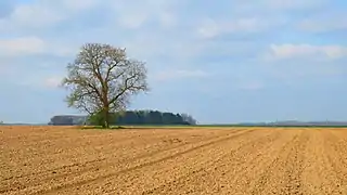 La campagne.