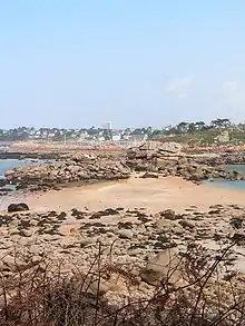 Le passage à marée basse vu de l'île. En arrière-plan, le port de Trébeurden.