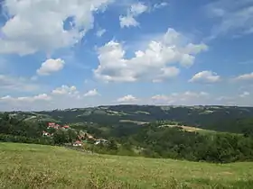 Gojna Gora