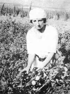 Golda Meir dans les champs du kibboutz Merhavia (années 1920).