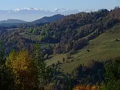Gorce avec panorama des Tatras.