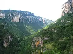 Vue sur les gorges de la Jonte depuis la Maison des vautours.