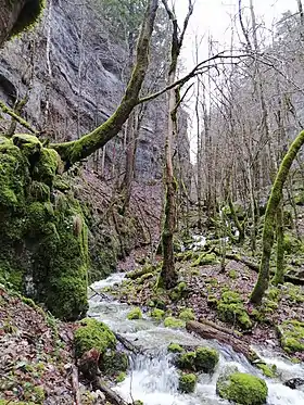 Le ruisseau de la Combe s'écoulant dans le fond des gorges.