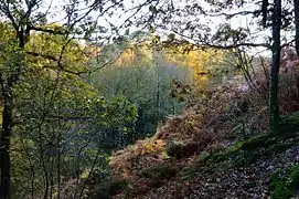 Vue sur le bois et le pierrier.