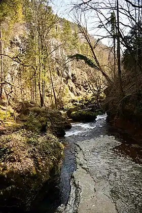 Image illustrative de l’article Gorges de l'Orbe