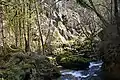 Les gorges de l'Orbe, entre les Clées et Orbe.