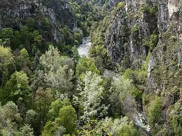 Les gorges de la Borgne vues de l'ermitage de Longeborgne.