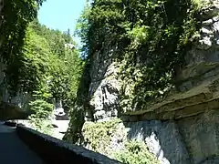 Les gorges de La Bourne en aval de Villard-de-Lans