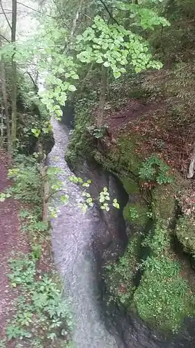 Les Gorges de la Kysel au croisement avec la Belá