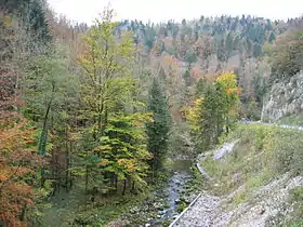 Vue sur les gorges en automne