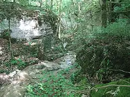 Les gorges de la Vingeanne